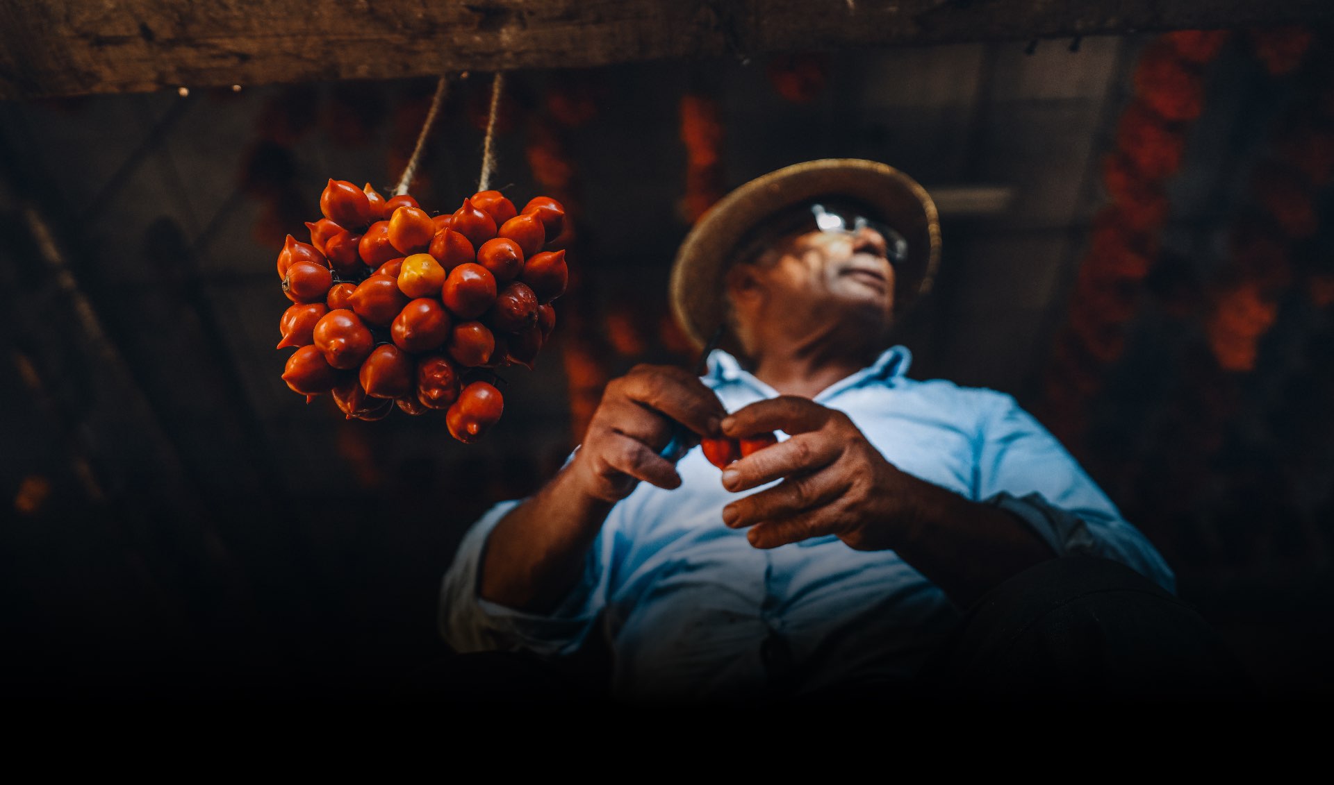 header-azienda-agricola header-azienda-agricola