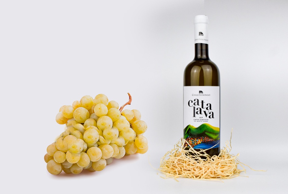 catalanesca