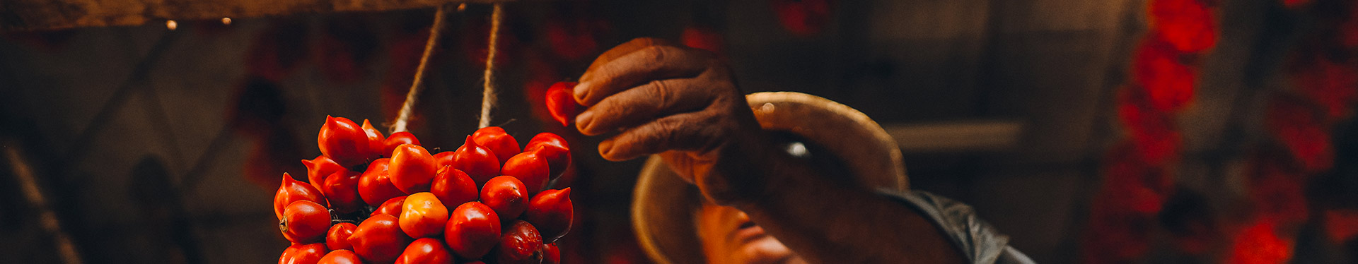 gift-box-header